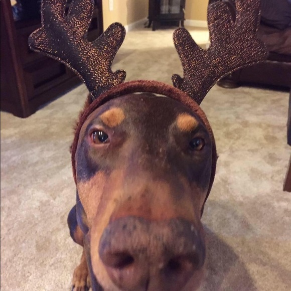 Meet your Posher, Vikki - Picture 4 of 7